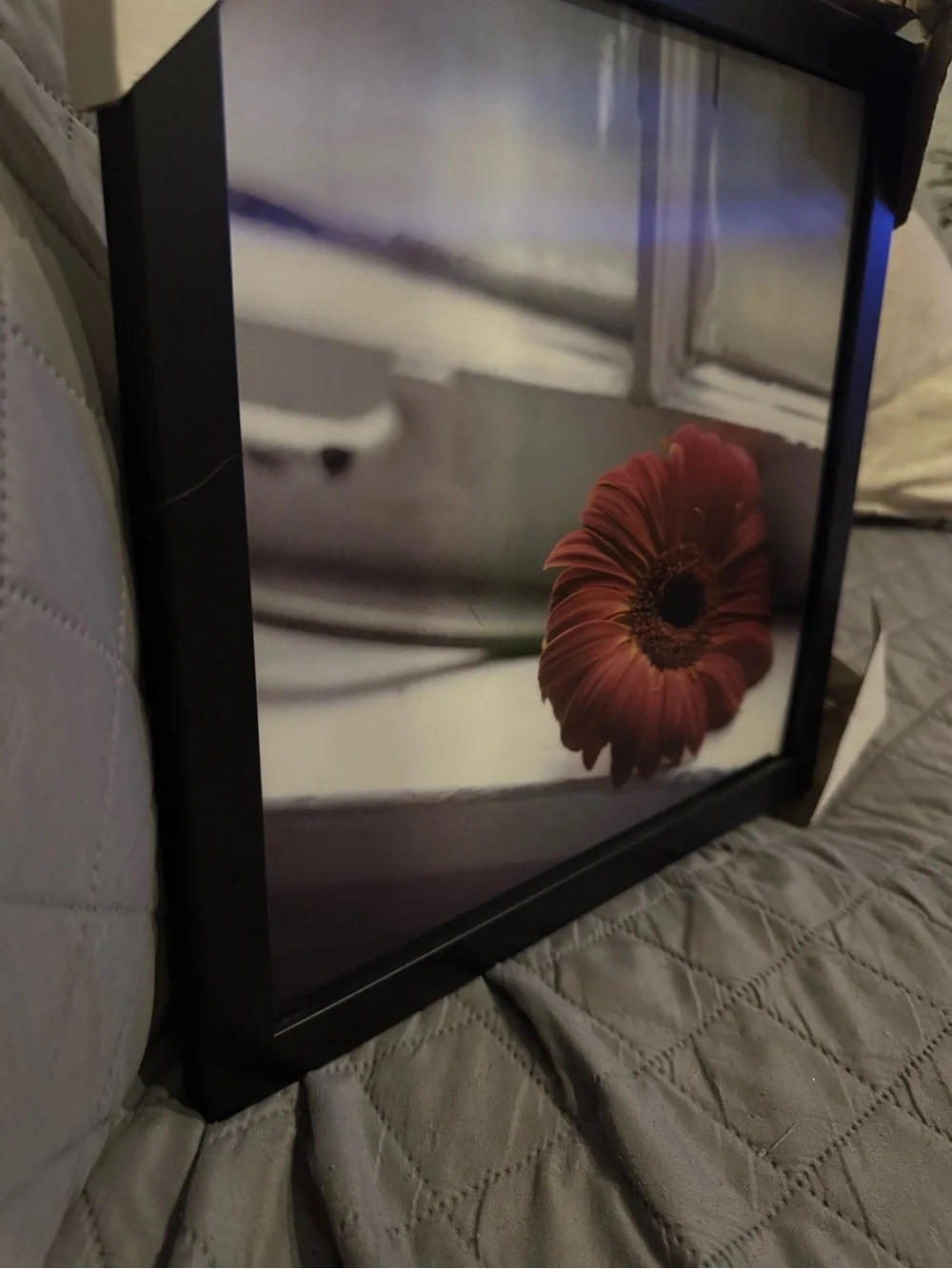 Framed Red Gerbera Daisy Wall Art